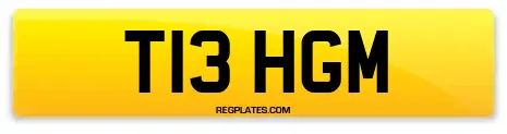 T13 HGM