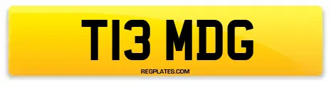 T13 MDG