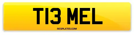 T13 MEL