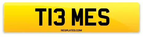 T13 MES