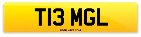 T13 MGL