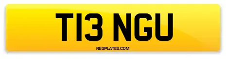 T13 NGU