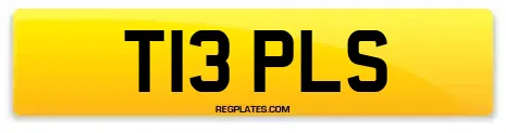 T13 PLS
