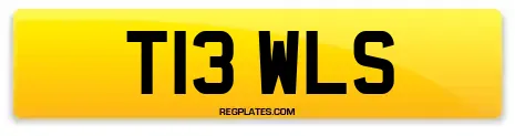 T13 WLS