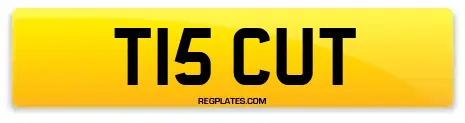 T15 CUT