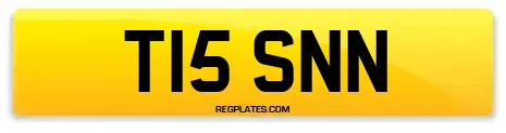 T15 SNN