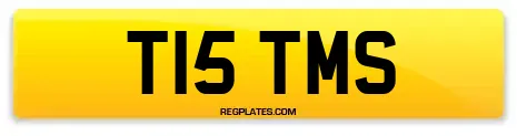 T15 TMS