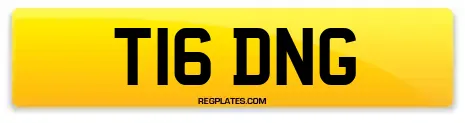 T16 DNG