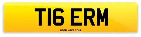 T16 ERM