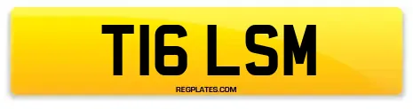 T16 LSM
