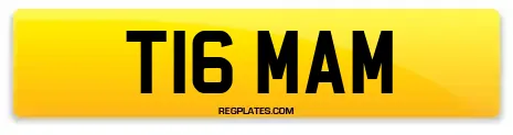T16 MAM