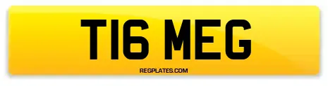 T16 MEG