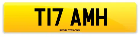 T17 AMH