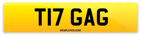 T17 GAG