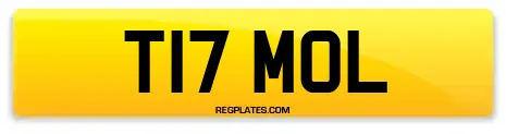 T17 MOL