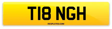 T18 NGH