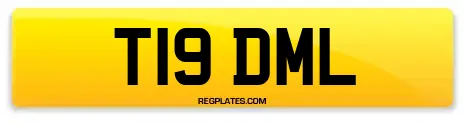 T19 DML