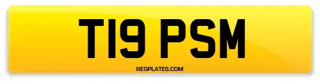 T19 PSM