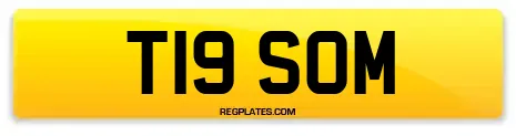 T19 SOM