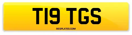 T19 TGS