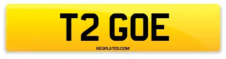 T2 GOE