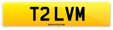 T2 LVM
