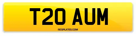 T20 AUM