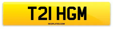 T21 HGM