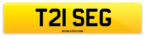 T21 SEG