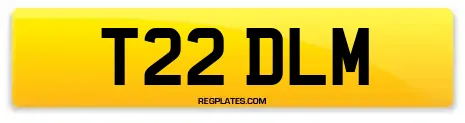 T22 DLM