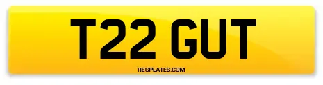 T22 GUT