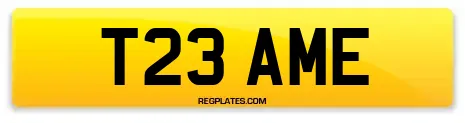T23 AME
