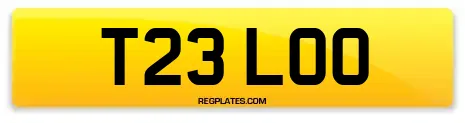 T23 LOO