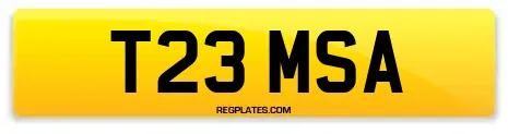 T23 MSA