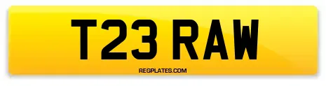 T23 RAW