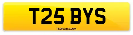 T25 BYS