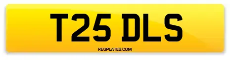T25 DLS