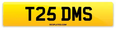 T25 DMS