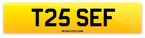 T25 SEF