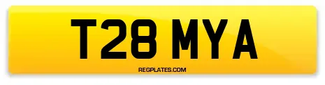 T28 MYA