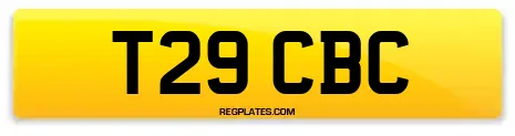 T29 CBC