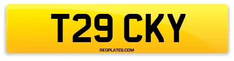 T29 CKY