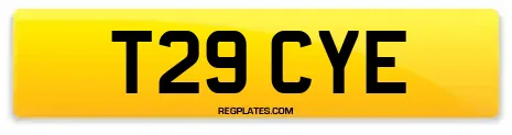 T29 CYE