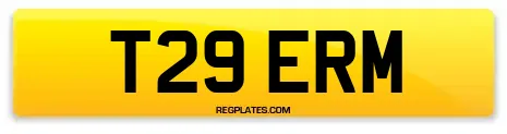 T29 ERM