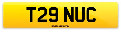 T29 NUC