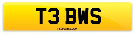T3 BWS