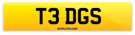 T3 DGS