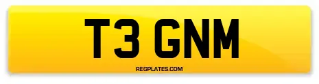 T3 GNM