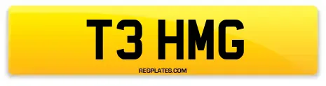 T3 HMG