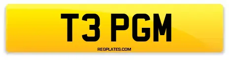 T3 PGM